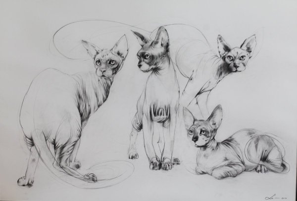 Сфинкс набросок