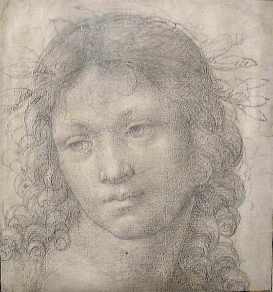 Альбрехт Дюрер анатомия человека