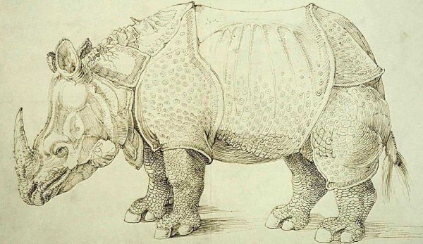 Дюрер штудии