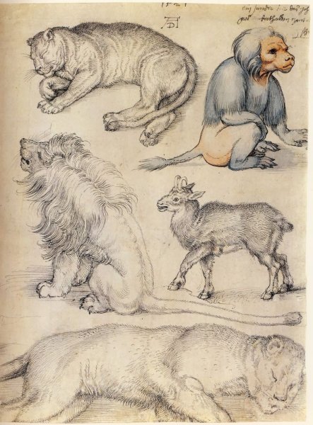 Зарисовки Дюрера