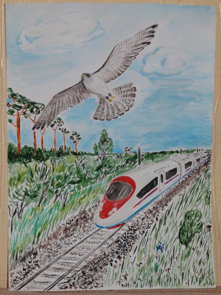 Сапсан поезд рисунок