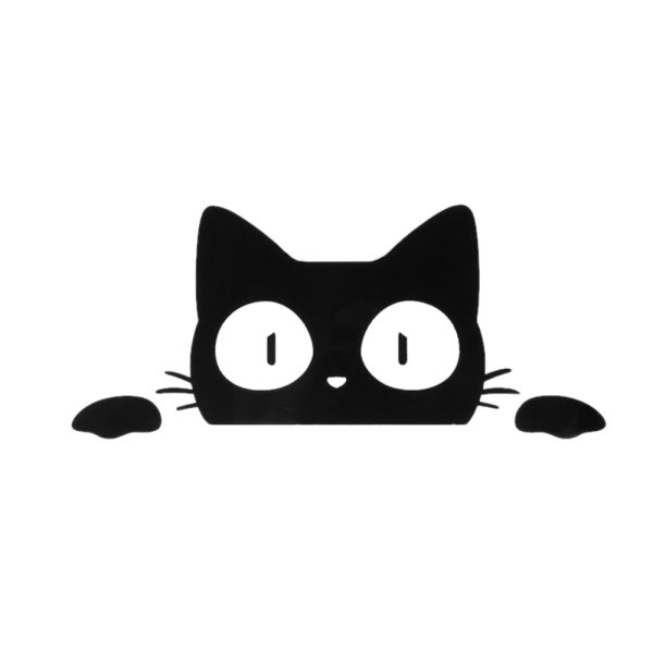 Кот выглядывает на белом фоне