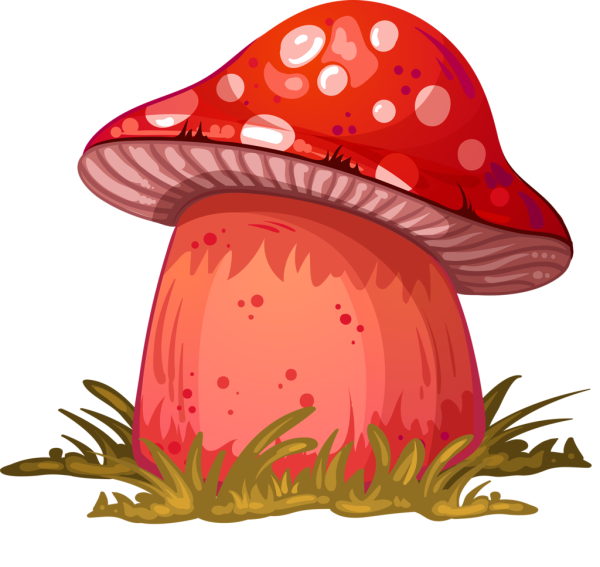 Шляпа грибок нарисованн