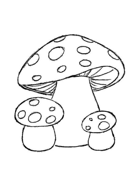 Гриб раскраска