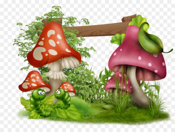 Сказочные грибы