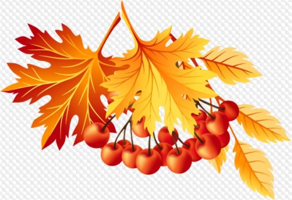 Клипарт осень на прозрачном фоне