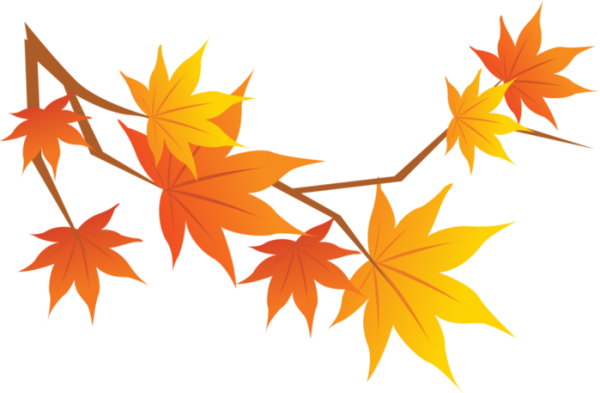 Ветка клена на прозрачном фоне