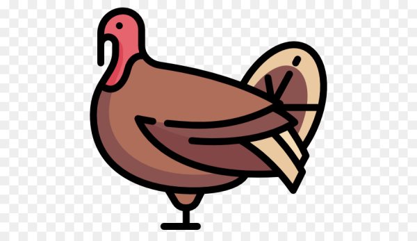 Turkey индюк for Kids