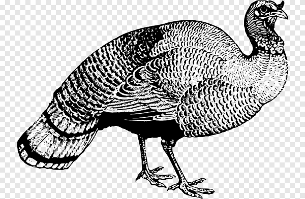 Маска индюка