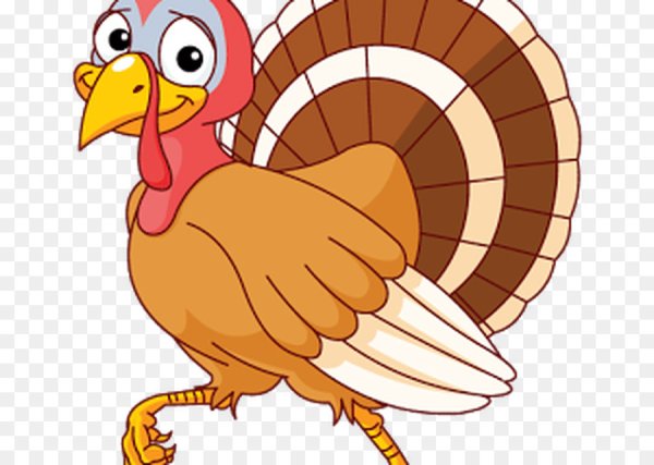 Индюк индюшка и индюшата раскраска