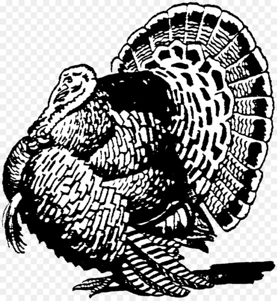 Индюшка вектор