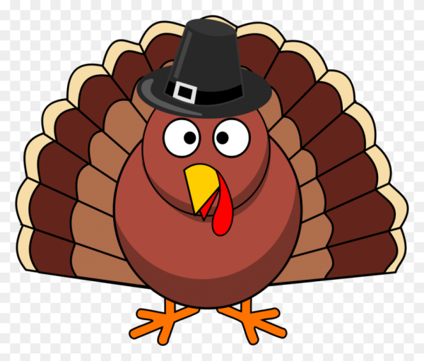 Индюк контур