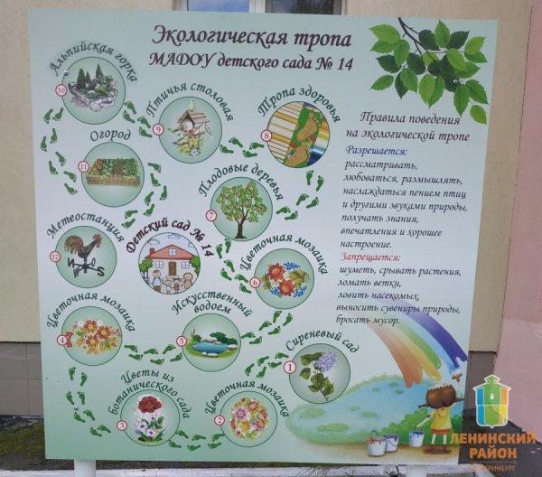 Экологическая тропа в детском саду рисунок