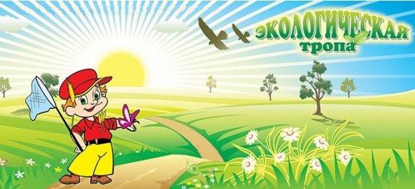 Фон для экологической тропы