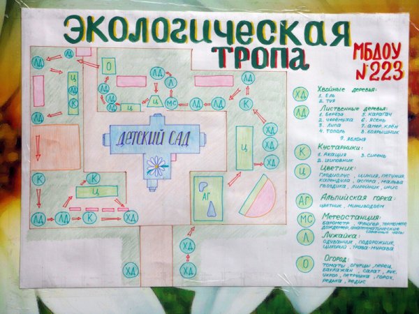 Экологическая тропа в детском саду схема