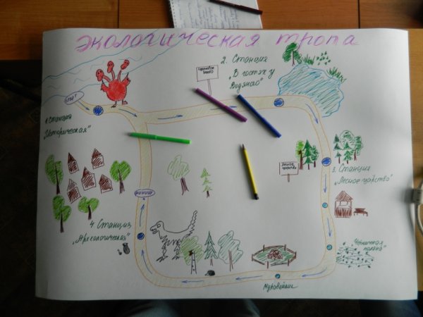 Рисунок на тему экологическая тропа