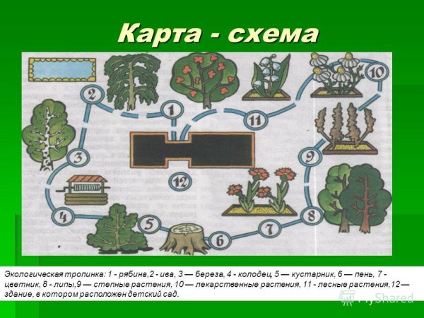 Схема экологической тропы в детском саду на участке