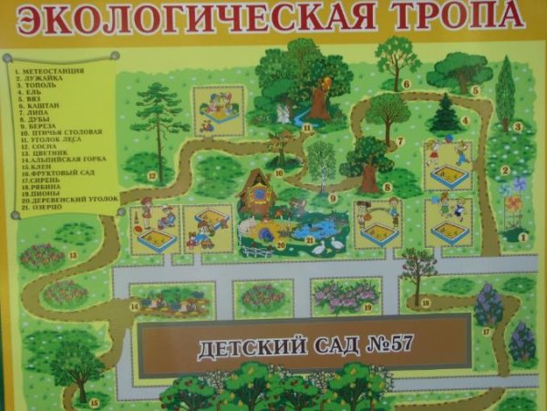 Экологическая тропа в детском саду в соответствии с ФГОС схема