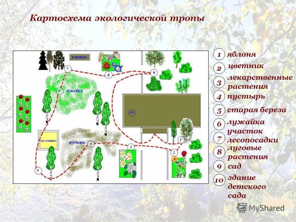 Схема маршрута экологической тропы