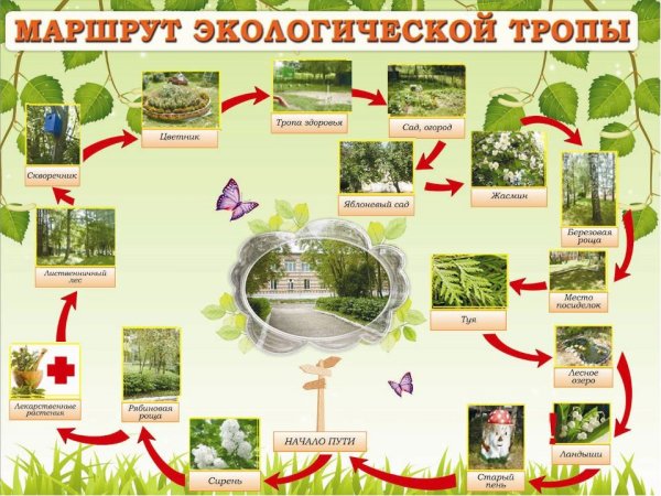 Экологическая тропа карта