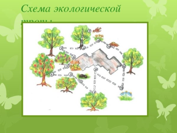 Схема экологической тропы