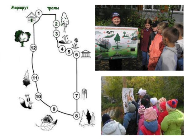 Зарисовки экологическая тропа в детском