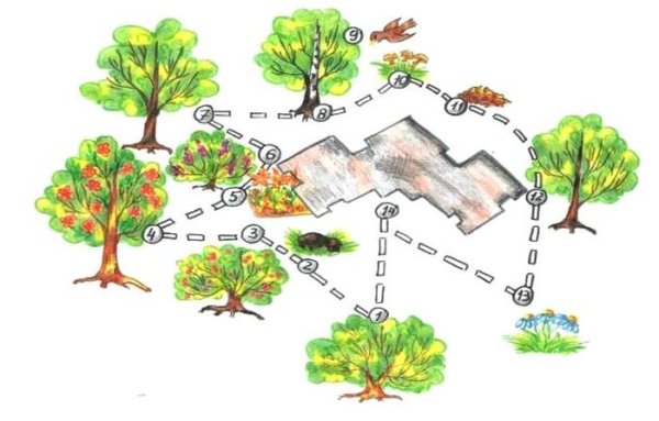 Экологическая тропа в детском саду рисунок