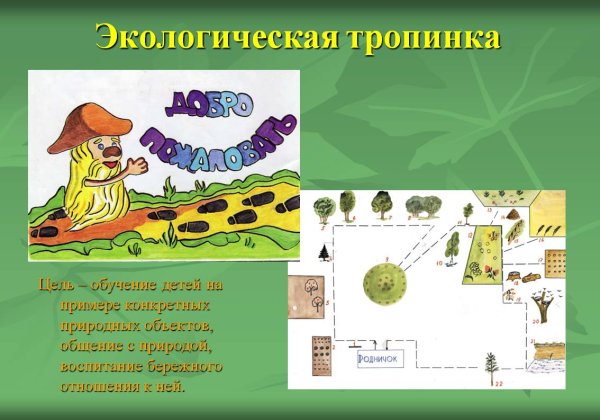 Экологические тропы рисунок