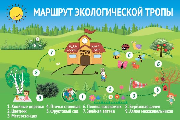 Экологическая тропа в детском саду