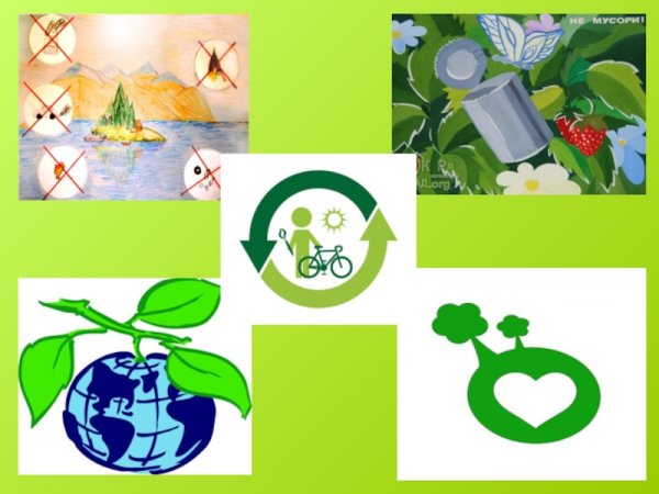 Путешествие по экологической тропе