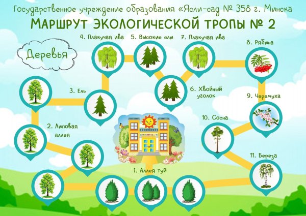 Маршрут по экологической тропе