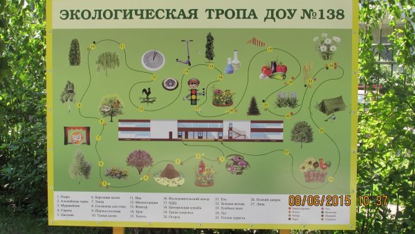 Экологическая тропа в детском саду