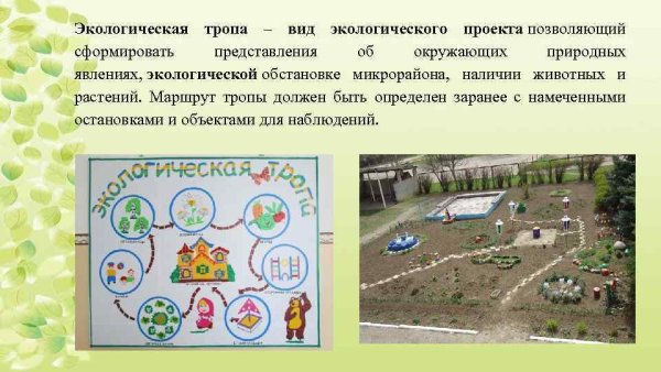 Таблички для экотропы