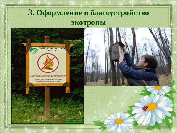 Экологические тропы в ДОУ