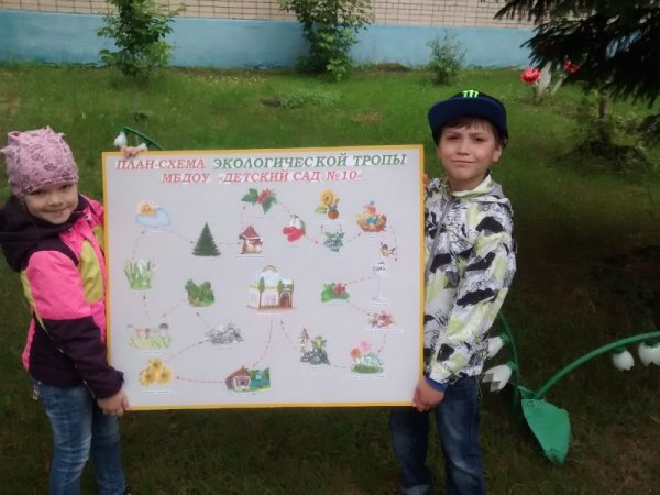 План-схема озеленения участка территории ДОУ