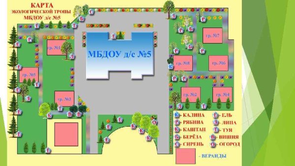 Экологическая тропа в детском