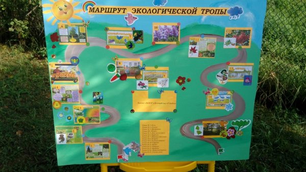 План озеленения территории детского сада