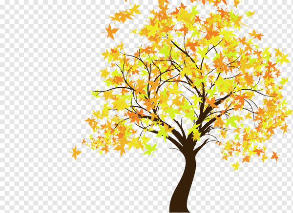 Осеннее дерево на прозрачном фоне