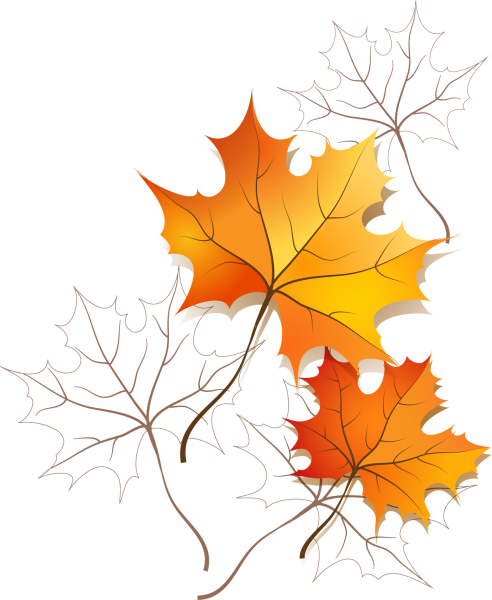 Осенние листья на прозрачном фоне