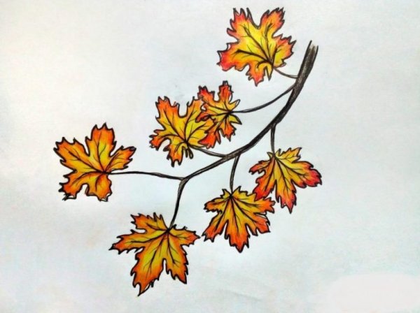 Рисование ветки клена