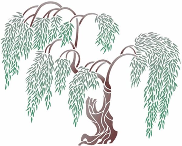 Плакучая Ива дерево рисунок