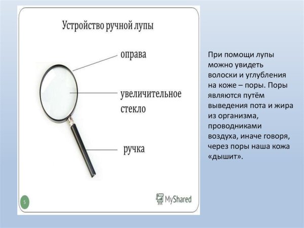 Строение лупы