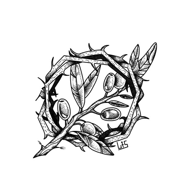 Терновый венец куст