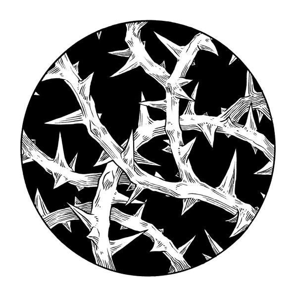 Тернии эскиз