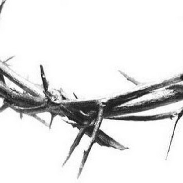 Ветка терновника эскиз