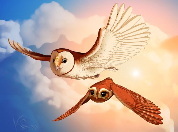 Сорен и Гильфи