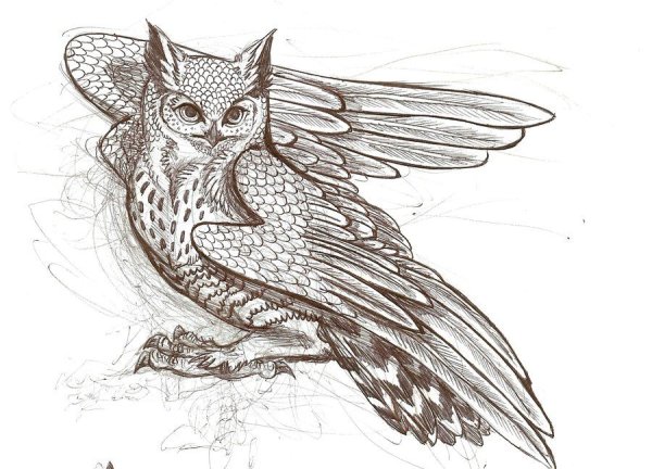 Графические рисунки