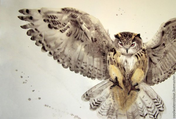 Сова с раскрытыми крыльями