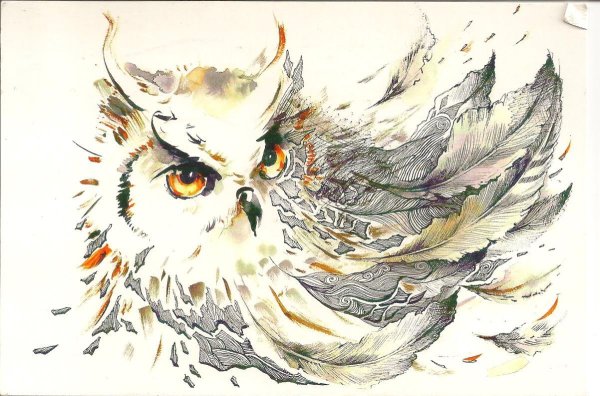 Сова абстракция