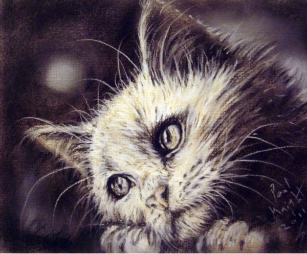 Грустный котенок арт